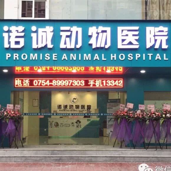 诺诚动物医院 骨科·猫专科:汕头市龙湖区星湖城/金鸿公路附近