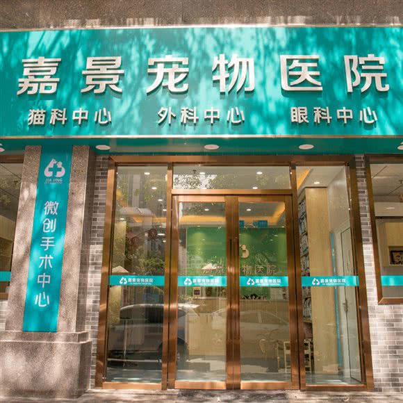 嘉景宠物医院:汕头市龙湖区星湖城/金鸿公路附近