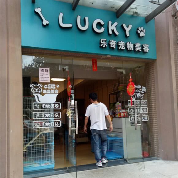乐奇宠物美容:汕头市龙湖区鼎福/明珠广场附近