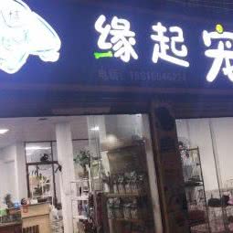 缘起宠物:汕头市龙湖区鸥汀附近