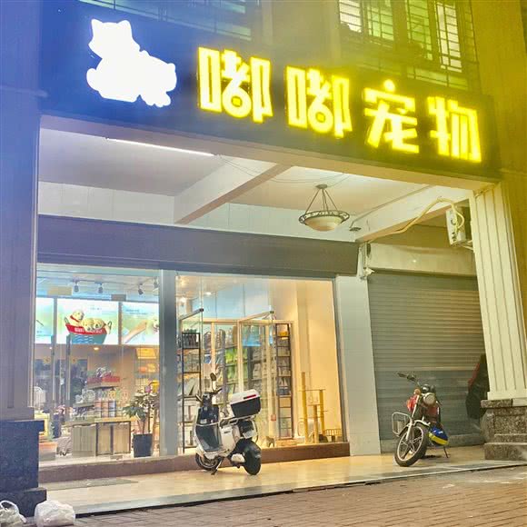嘟嘟宠物:汕头市金平区广厦新城附近