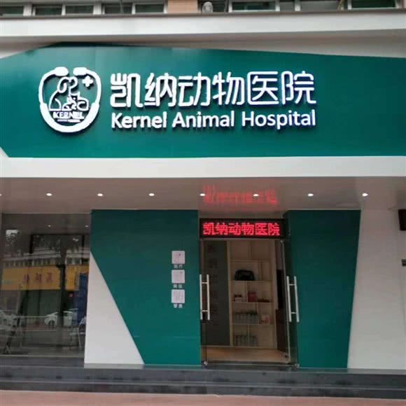 凯纳动物医院异宠.中兽医.猫专科:汕头市金平区广厦新城附近