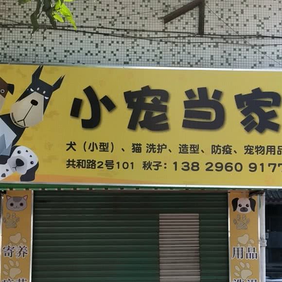 小宠当家:汕头市金平区中山公园附近