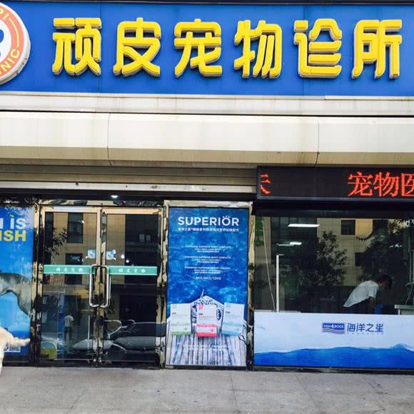 顽皮宠物诊所(发达街店):天津城区滨海新区经济开发区附近