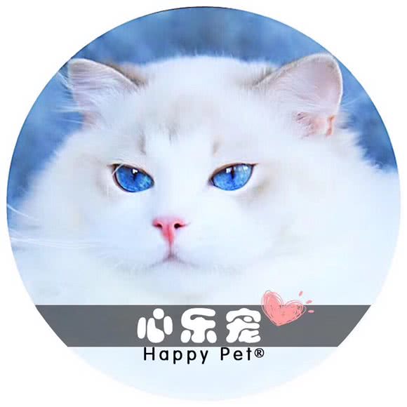 心乐宠猫馆:汕头市金平区中旅/卜蜂莲花附近