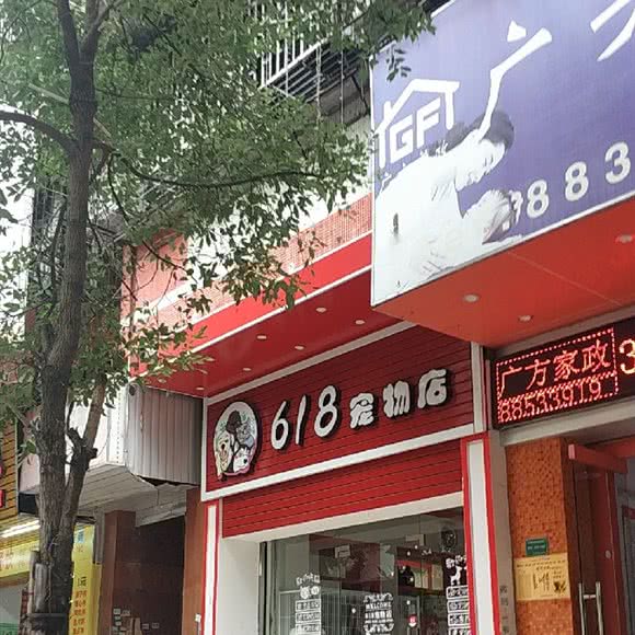 618宠物店:汕头市金平区石炮台公园附近