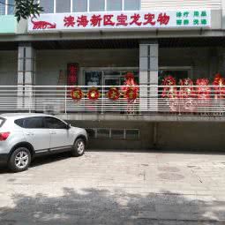 泰达宝龙宠物医院:天津城区滨海新区经济开发区附近