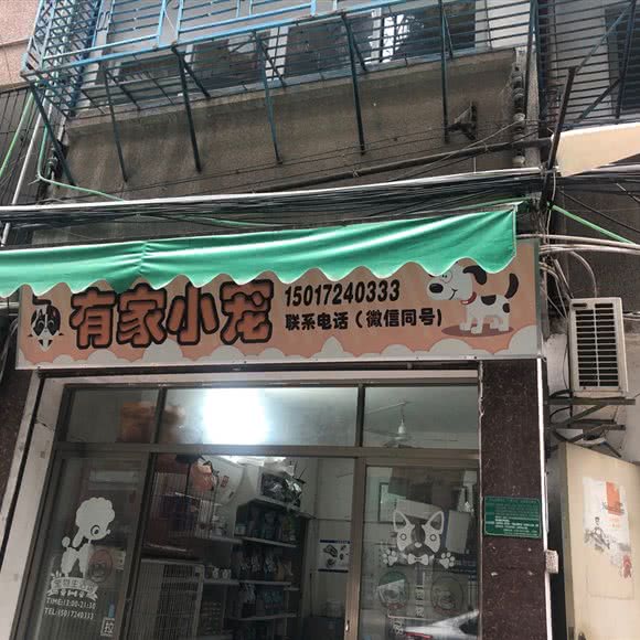 有家小宠:汕头市金平区东方公园附近