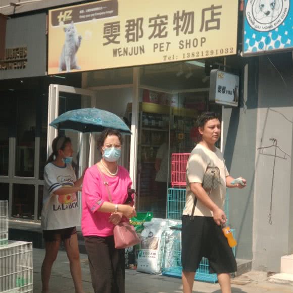 雯郡宠物店:天津城区滨海新区塘沽城区附近