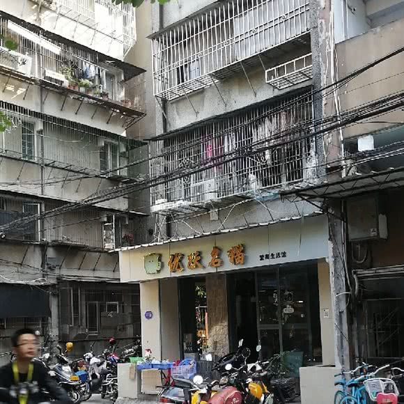 优跃名猫繁育生活馆:汕头市金平区月季园附近