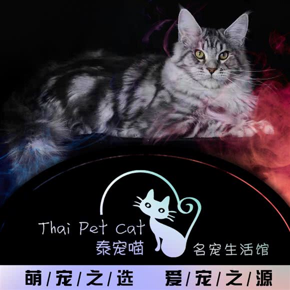 泰宠喵·名宠生活馆:汕头市金平区金紫世家商业街附近
