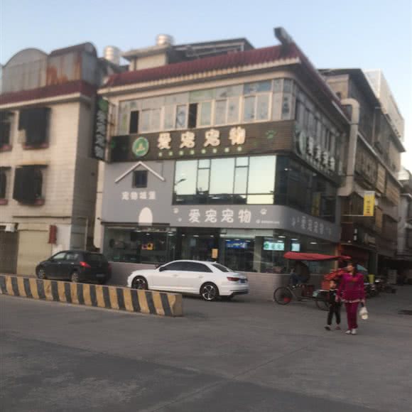 爱宠宠物(峡山店):汕头市潮南区峡山附近