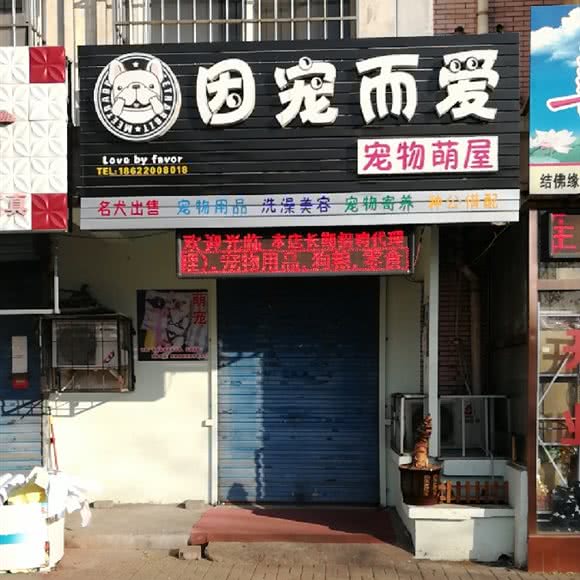因宠而爱宠物萌屋:天津城区滨海新区塘沽城区附近