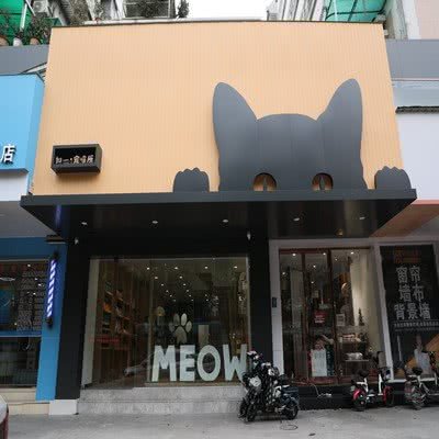 如一宠喵所:佛山市禅城区季华园附近