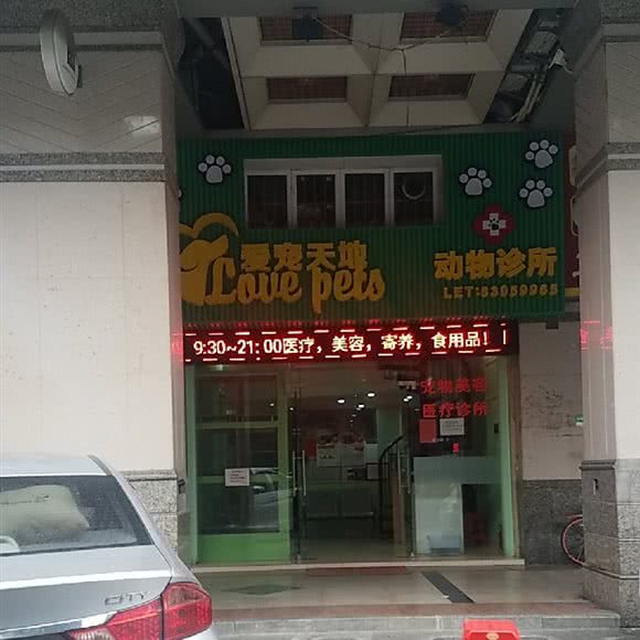 汪旺宠物:佛山市禅城区季华园附近