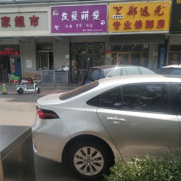 友爱萌宠:天津城区滨海新区塘沽城区附近