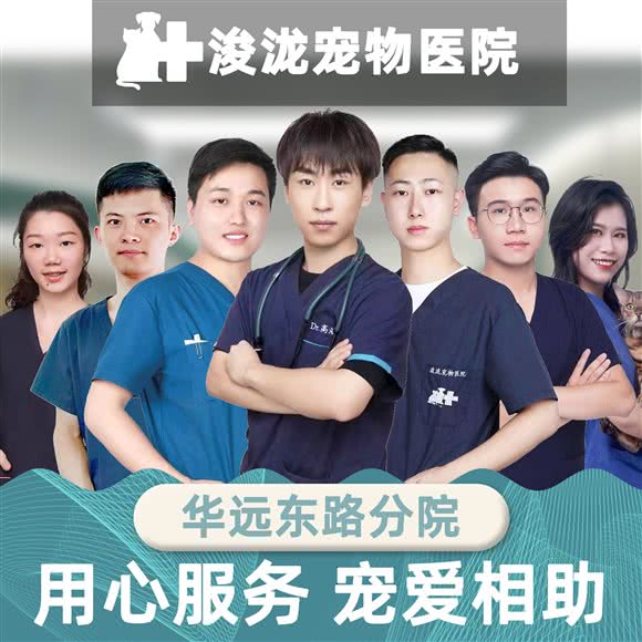 浚泷宠物医院(华远东路分院):佛山市禅城区季华园附近