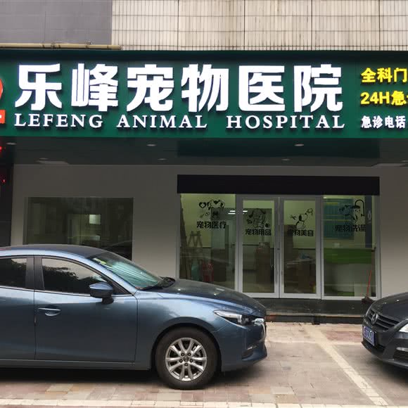 乐峰宠物医院:佛山市禅城区季华园附近