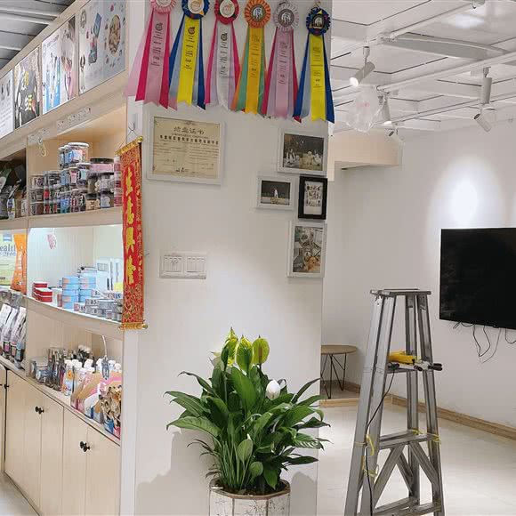 佛山宠屿宠物:佛山市禅城区祖庙附近