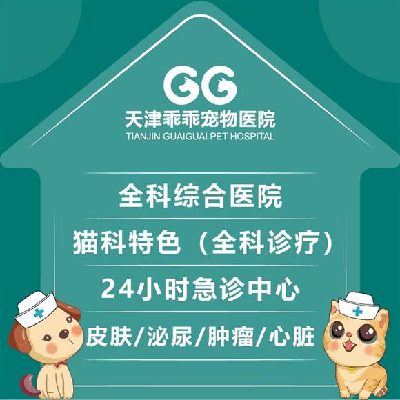 乖乖宠物医院(车站北路分院.24小时):天津城区滨海新区塘沽城区附近