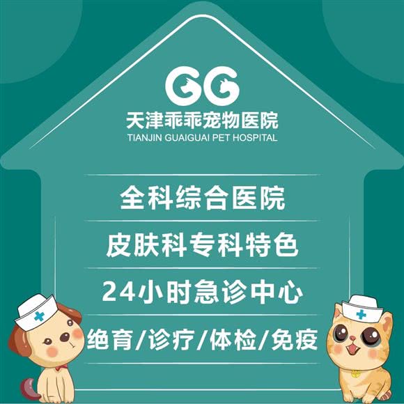 乖乖宠物医院(塘沽分院.24小时?急重症转诊中心):天津城区滨海新区塘沽城区附近