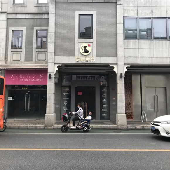 爱嘉宠物:佛山市禅城区文华北路沿线附近