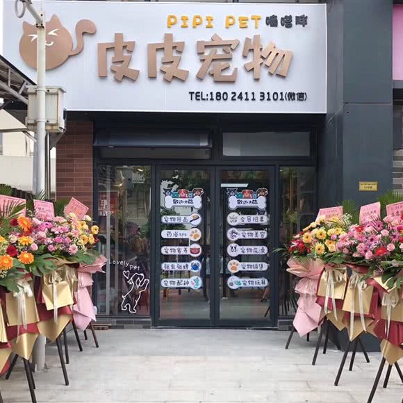 皮皮宠物:佛山市禅城区东方广场附近