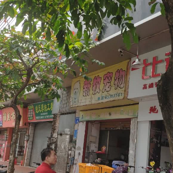 新牧宠物:佛山市禅城区东方广场附近