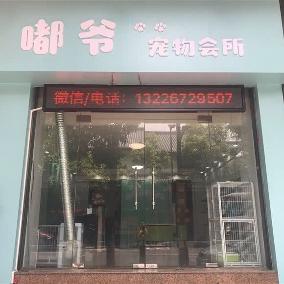 嘟爷宠物会所:佛山市禅城区东方广场附近