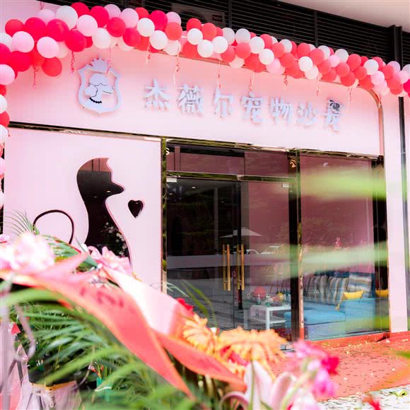 杰薇尔宠物美容沙龙:佛山市禅城区东方广场附近