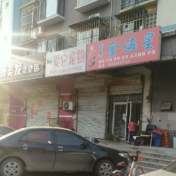 爱它宠物:天津城区滨海新区塘沽城区附近