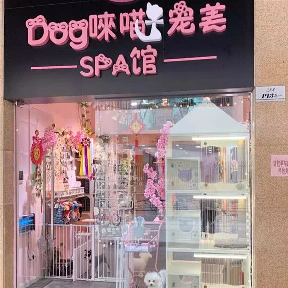 哆唻喵宠美馆:佛山市禅城区普君新城/市政府附近
