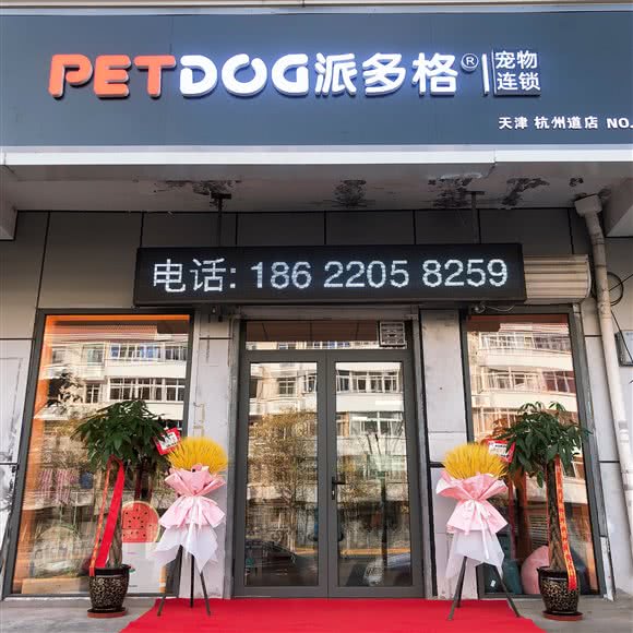 派多格宠物杭州道店:天津城区滨海新区塘沽城区附近