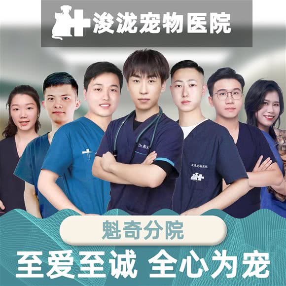 浚泷宠物医院(魁奇路分院):佛山市禅城区丽日玫瑰附近