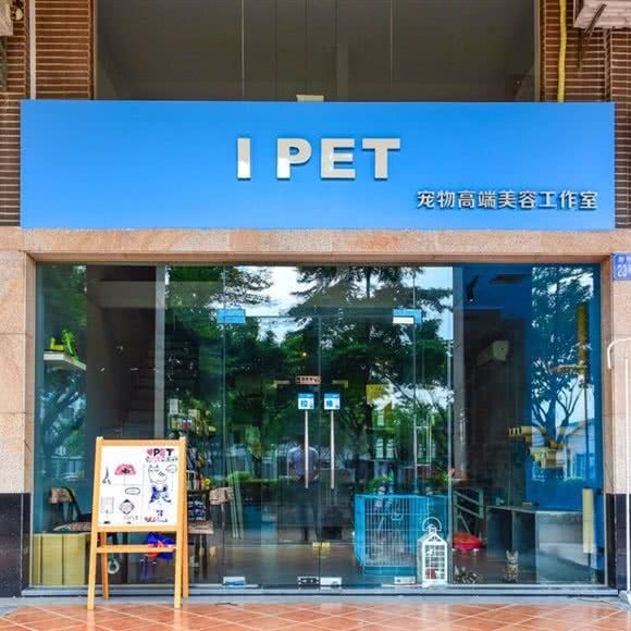 IPET宠物:佛山市禅城区岭南大道沿线附近