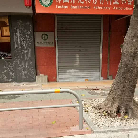 佛山市宠物诊疗行业协会:佛山市禅城区同济路附近