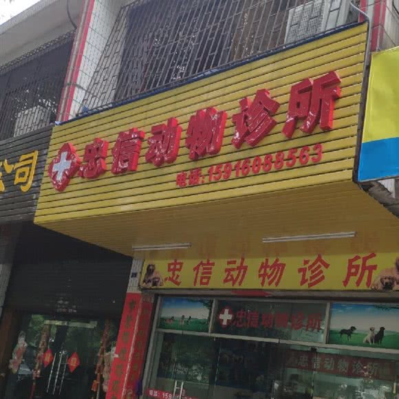 忠信动物诊所:佛山市禅城区南庄附近