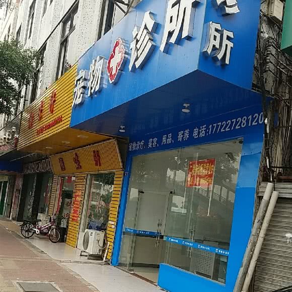 喜乐迪宠物诊所:佛山市禅城区南庄附近