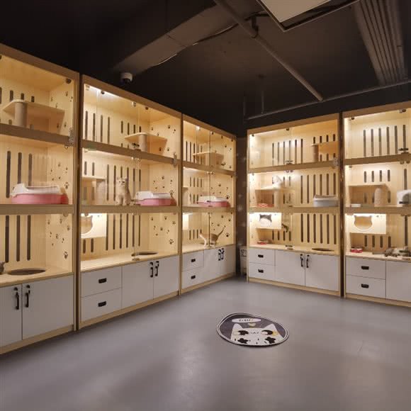 艾邦尼宠物生活馆:佛山市禅城区张槎附近