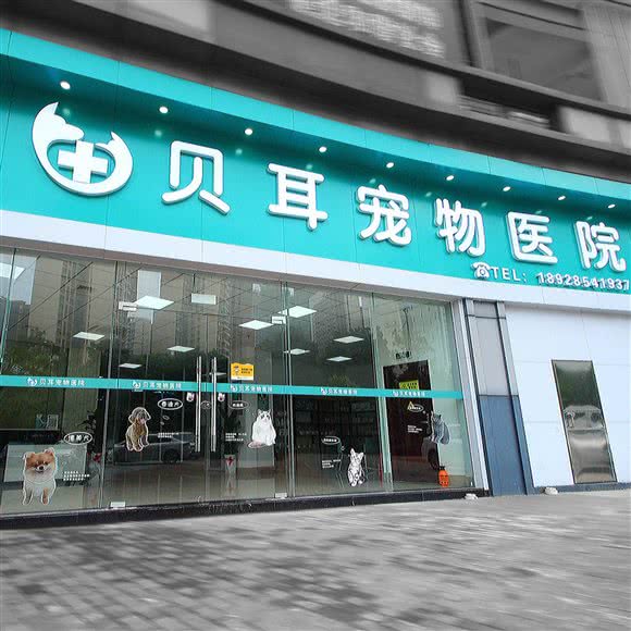 贝耳宠物医院:佛山市禅城区绿岛湖广场附近