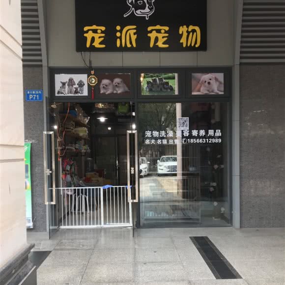 宠派宠物生活馆:佛山市禅城区碧桂园附近