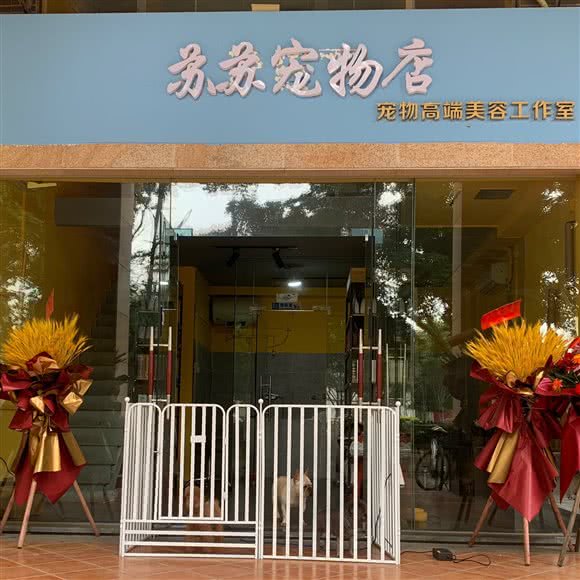 苏苏宠物店:佛山市禅城区碧桂园附近