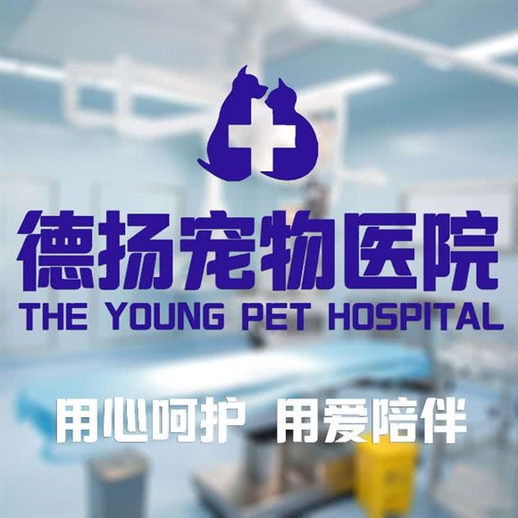 德扬宠物医院(港口路分院):佛山市禅城区碧桂园附近