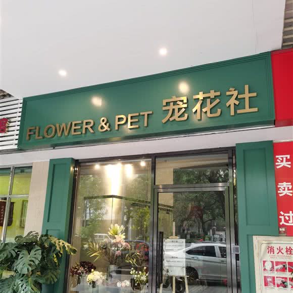 宠花社:佛山市禅城区季华六路/湖景路附近