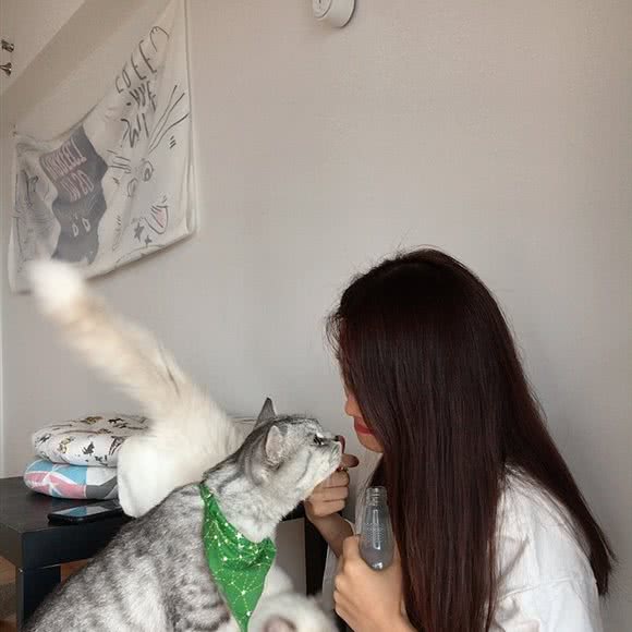 我们の故事·家庭式猫咖:佛山市禅城区澜石附近