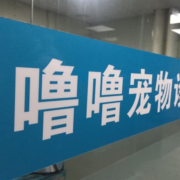 噜噜宠物诊所:佛山市禅城区澜石附近