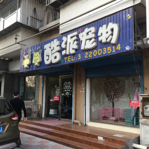 酷派宠物:天津城区滨海新区塘沽城区附近