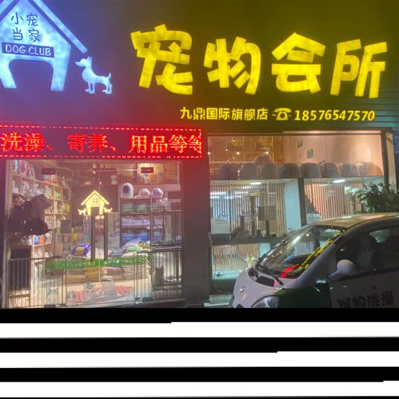 小宠当家宠物会所:佛山市禅城区九鼎国际附近