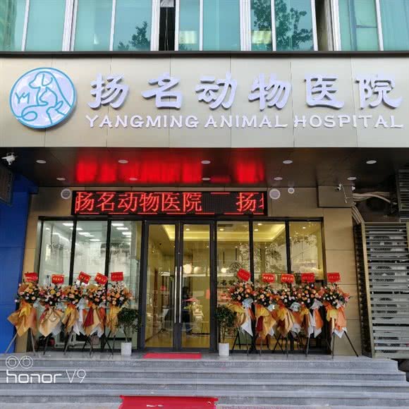 扬名动物医院:佛山市禅城区兆阳广场附近