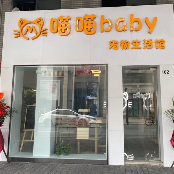 喵喵baby宠物生活馆:佛山市禅城区岭南天地附近